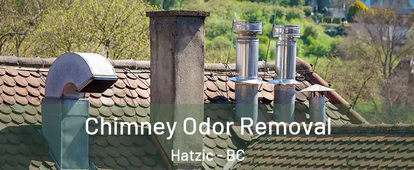  Chimney Odor Removal Hatzic - BC