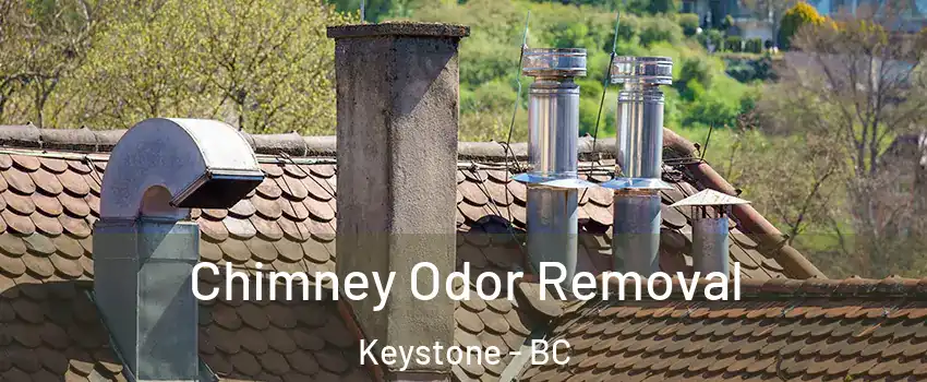  Chimney Odor Removal Keystone - BC