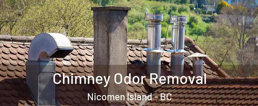  Chimney Odor Removal Nicomen Island - BC