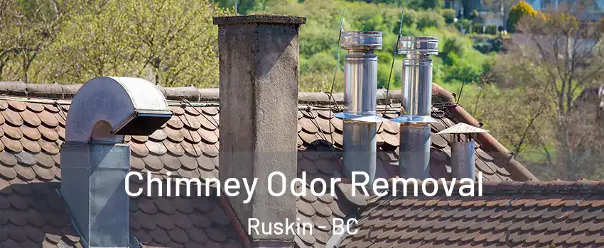  Chimney Odor Removal Ruskin - BC