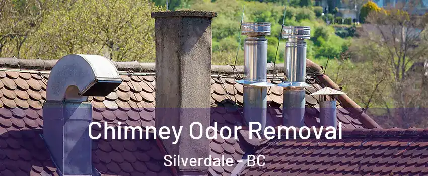  Chimney Odor Removal Silverdale - BC