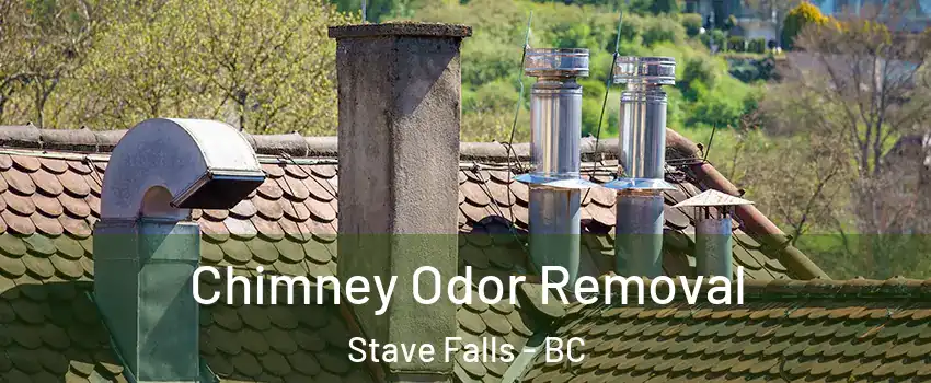  Chimney Odor Removal Stave Falls - BC