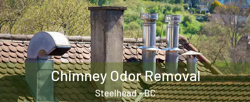  Chimney Odor Removal Steelhead - BC
