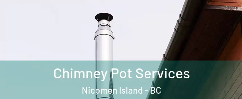  Chimney Pot Services Nicomen Island - BC