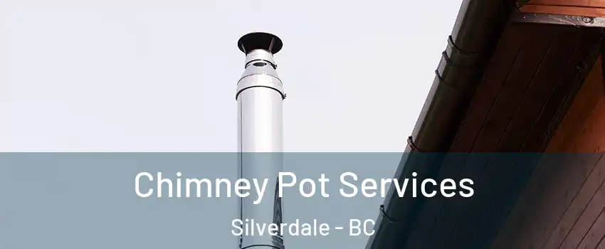  Chimney Pot Services Silverdale - BC