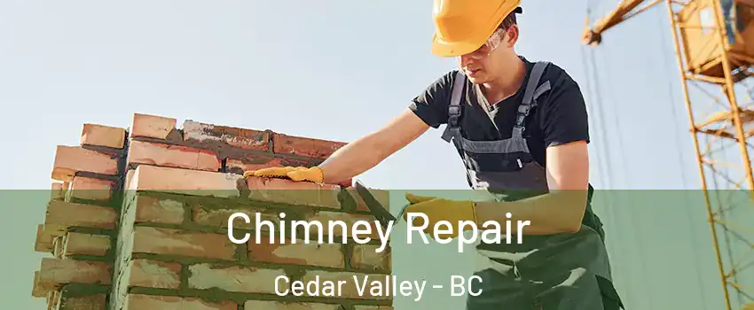  Chimney Repair Cedar Valley - BC