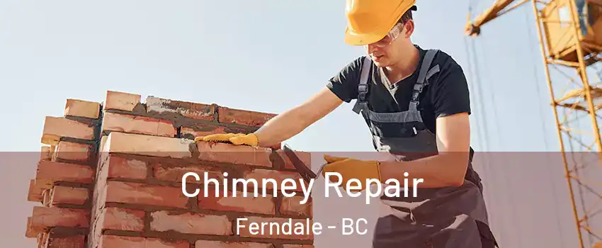  Chimney Repair Ferndale - BC