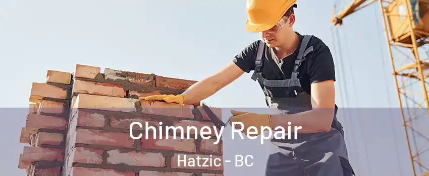  Chimney Repair Hatzic - BC