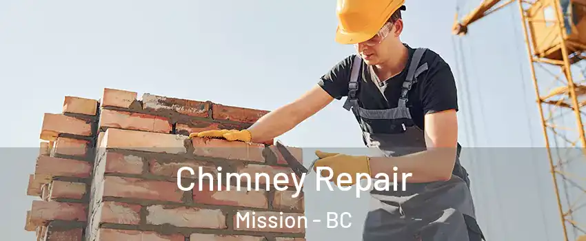  Chimney Repair Mission - BC