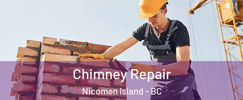  Chimney Repair Nicomen Island - BC