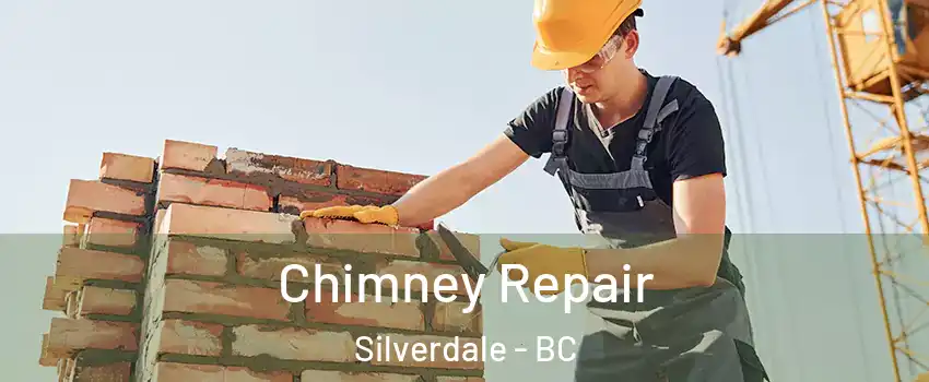  Chimney Repair Silverdale - BC