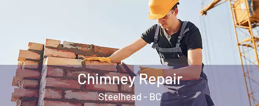  Chimney Repair Steelhead - BC