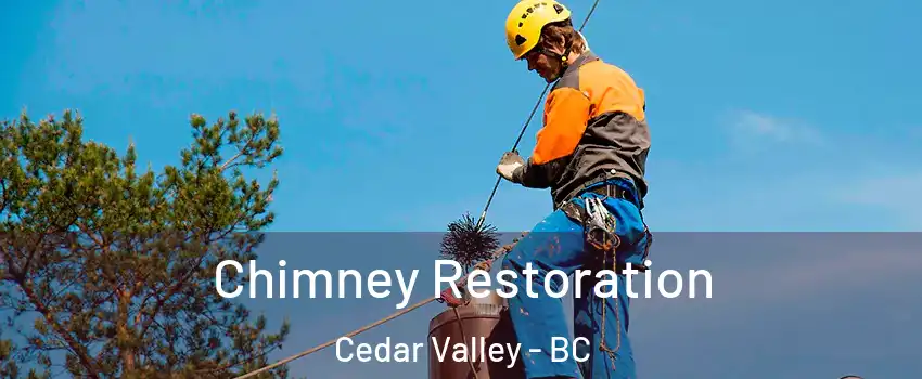  Chimney Restoration Cedar Valley - BC