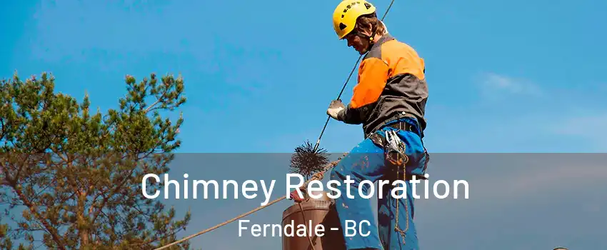  Chimney Restoration Ferndale - BC
