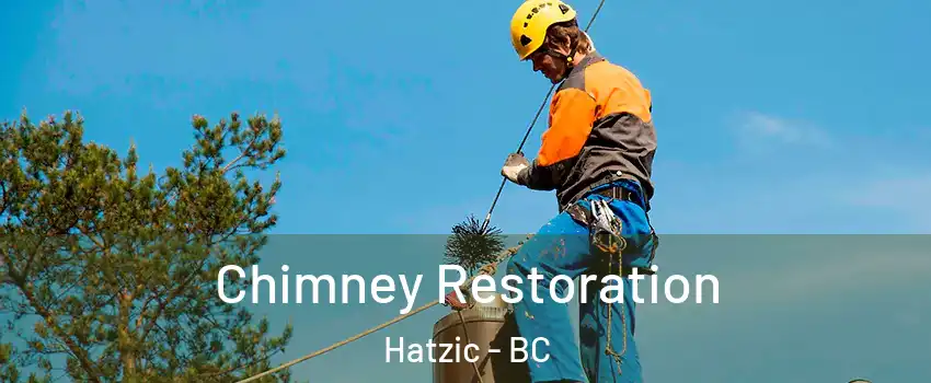  Chimney Restoration Hatzic - BC