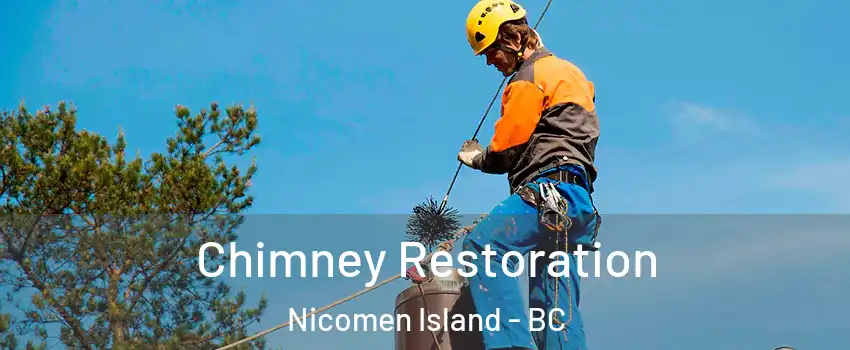  Chimney Restoration Nicomen Island - BC