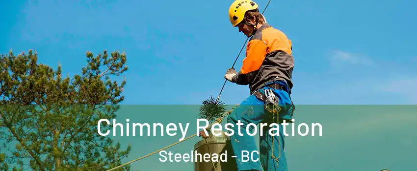  Chimney Restoration Steelhead - BC