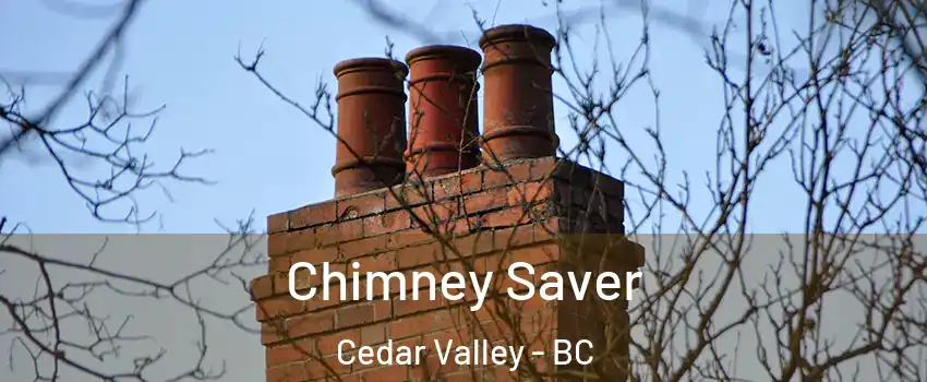  Chimney Saver Cedar Valley - BC