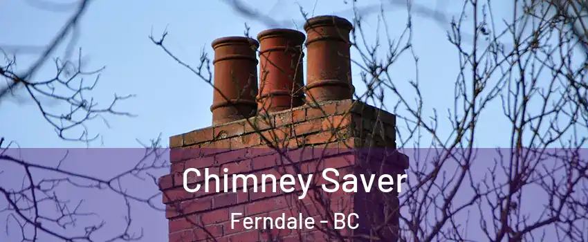  Chimney Saver Ferndale - BC
