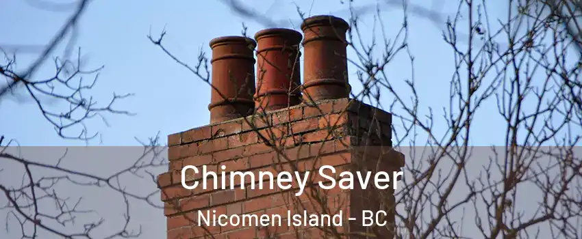  Chimney Saver Nicomen Island - BC