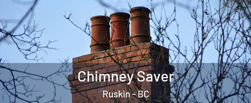 Chimney Saver Ruskin - BC