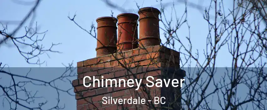  Chimney Saver Silverdale - BC