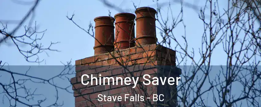  Chimney Saver Stave Falls - BC