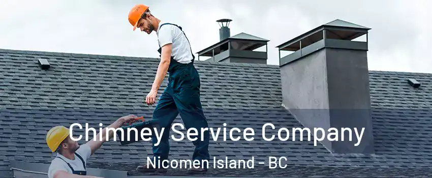  Chimney Service Company Nicomen Island - BC
