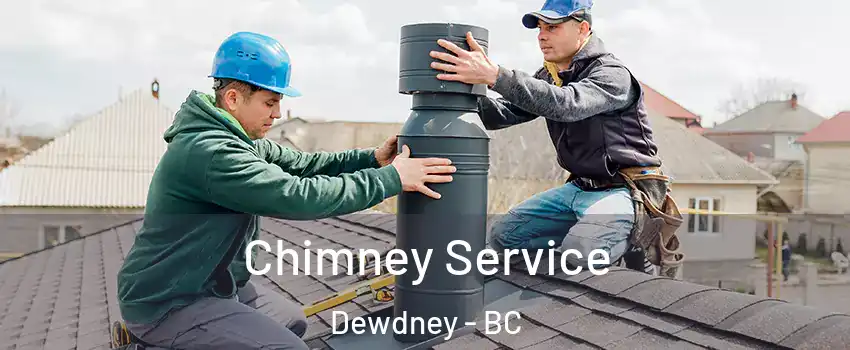  Chimney Service Dewdney - BC