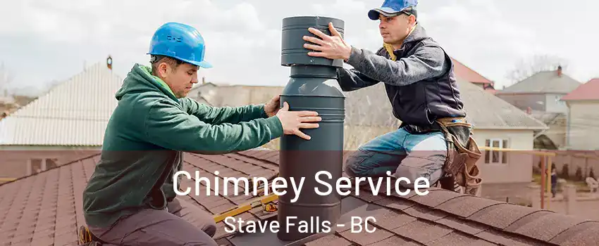  Chimney Service Stave Falls - BC
