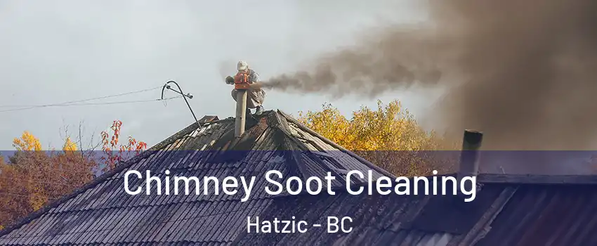  Chimney Soot Cleaning Hatzic - BC
