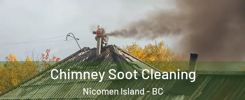  Chimney Soot Cleaning Nicomen Island - BC