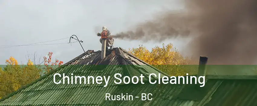 Chimney Soot Cleaning Ruskin - BC