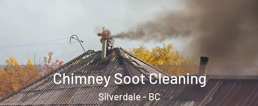  Chimney Soot Cleaning Silverdale - BC