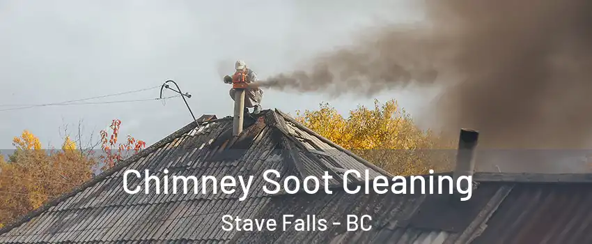  Chimney Soot Cleaning Stave Falls - BC