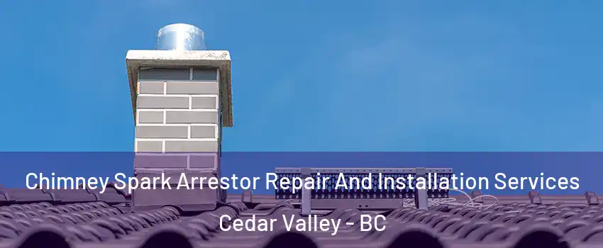  Chimney Spark Arrestor Repair And Installation Services Cedar Valley - BC
