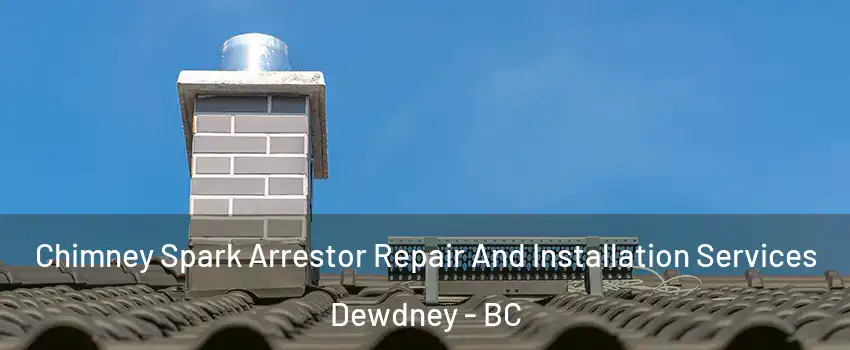  Chimney Spark Arrestor Repair And Installation Services Dewdney - BC