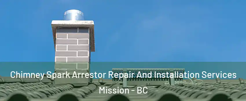  Chimney Spark Arrestor Repair And Installation Services Mission - BC