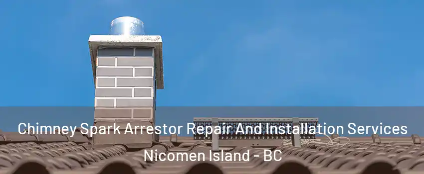  Chimney Spark Arrestor Repair And Installation Services Nicomen Island - BC