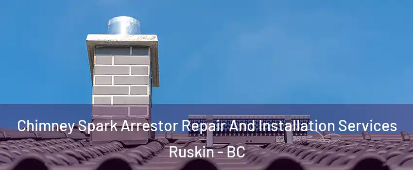  Chimney Spark Arrestor Repair And Installation Services Ruskin - BC
