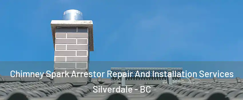  Chimney Spark Arrestor Repair And Installation Services Silverdale - BC