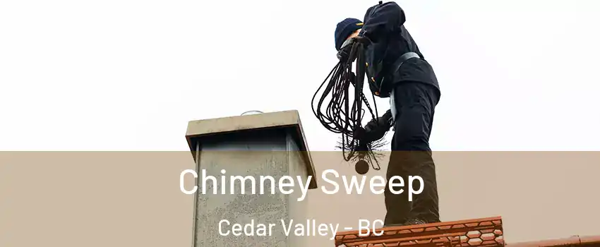  Chimney Sweep Cedar Valley - BC