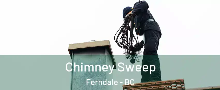  Chimney Sweep Ferndale - BC