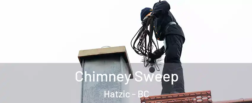  Chimney Sweep Hatzic - BC