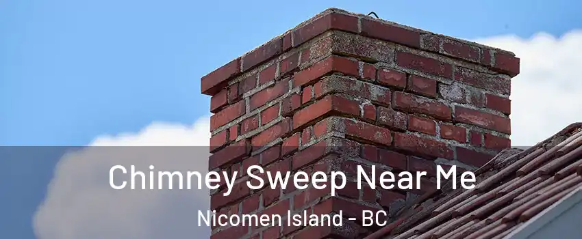  Chimney Sweep Near Me Nicomen Island - BC