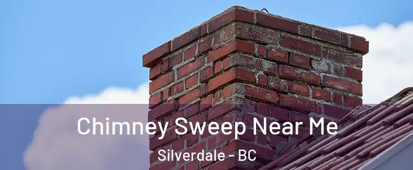  Chimney Sweep Near Me Silverdale - BC