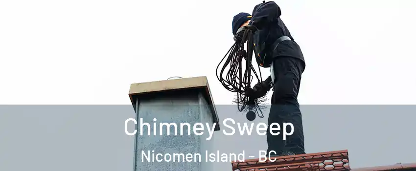  Chimney Sweep Nicomen Island - BC