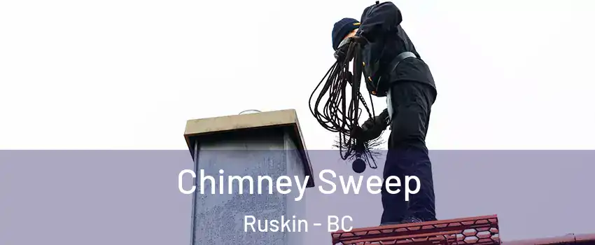  Chimney Sweep Ruskin - BC