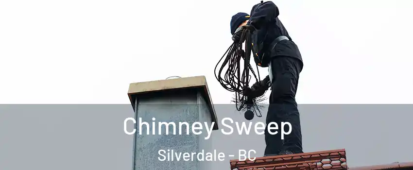  Chimney Sweep Silverdale - BC