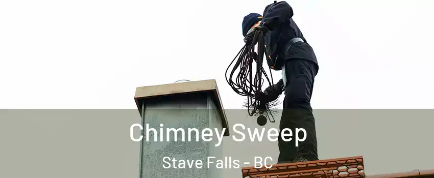  Chimney Sweep Stave Falls - BC